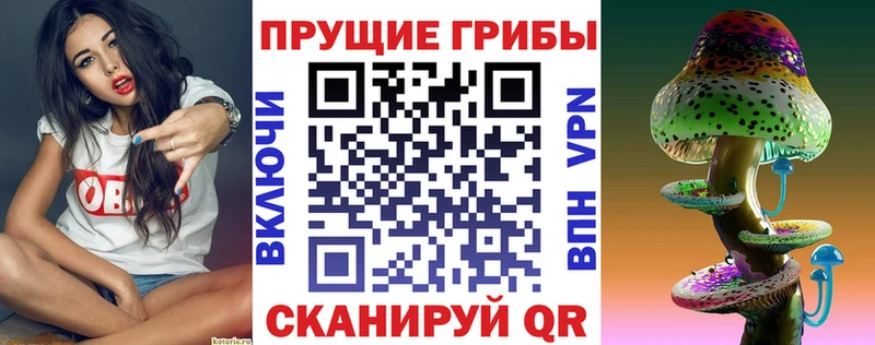 Псилоцибиновые грибы MAGIC MUSHROOMS Пионерский