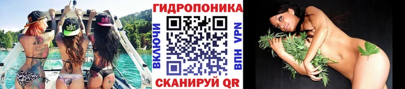 Бошки Шишки THC 21%  Пионерский 